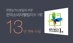 한국소비자웰빙지수 1위